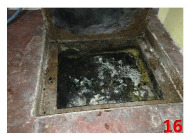 Come affrontare un’ infestazione di scarafaggi e blatte negli scarichi del bagno in condominio?