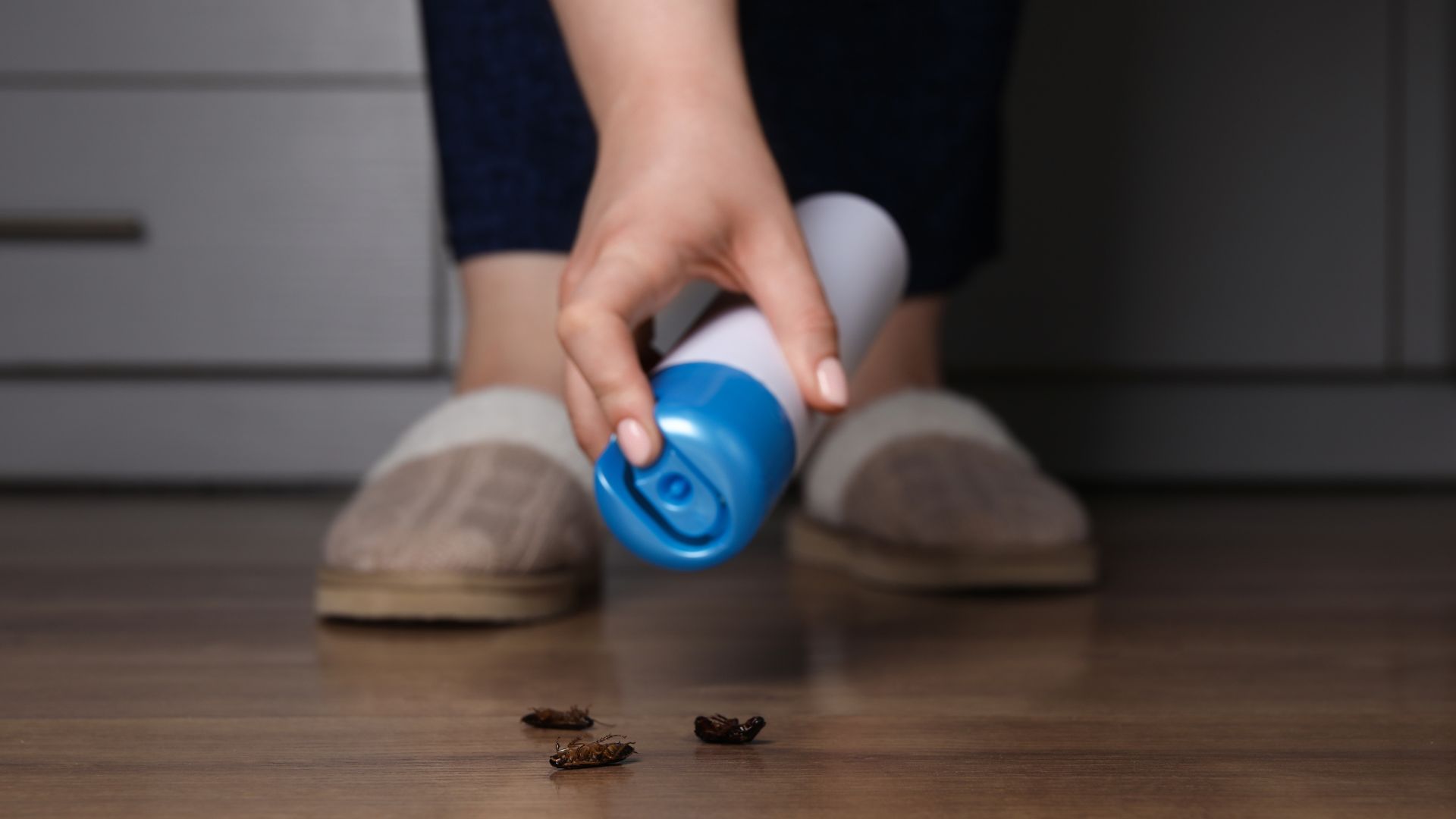 Come liberarsi delle Blatte? Tutto quello che devi sapere per una casa sicura