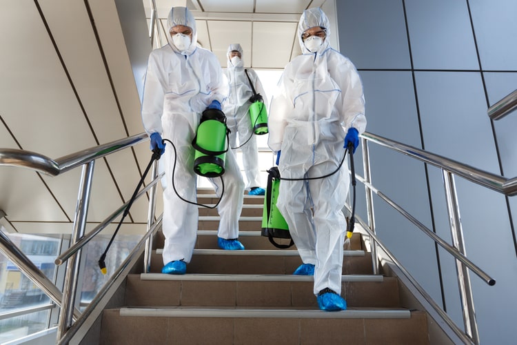 Qual è la differenza tra Disinfezione e Disinfestazione?